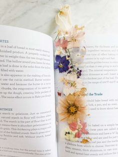 an open book with flowers laying on it's pages and the title in english