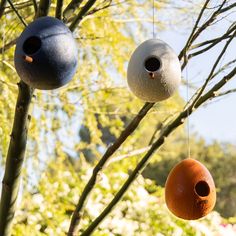 three bird houses hanging from the branches of a tree