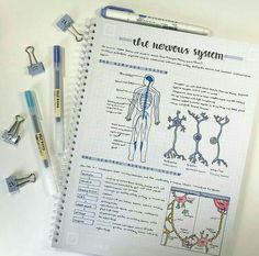 a notebook with an illustration of the nervous system on it and several other medical tools