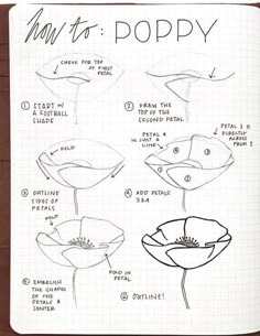 an open notebook with instructions on how to poppy