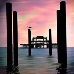 a bird flying over the ocean next to a pier with a sunset in the background