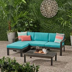 a blue couch and coffee table in front of a green wall with potted plants