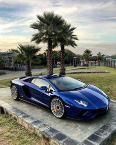 a blue sports car parked on top of a cement slab in front of palm trees