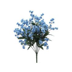 a bouquet of blue flowers on a white background