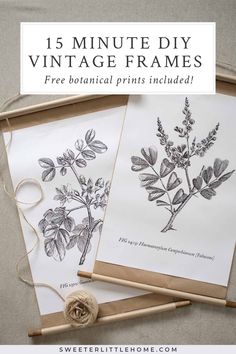 two vintage botanical prints are shown with twine and twine on the table, next to each other