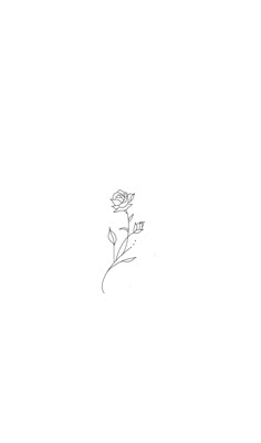 a black and white drawing of a single rose on a white background with the word love written below it