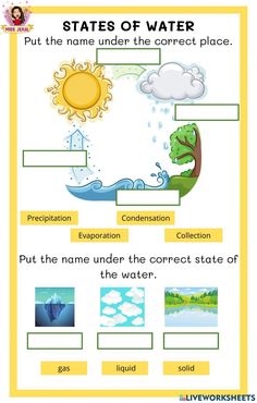 states of water worksheet with pictures and words to describe the different types of water