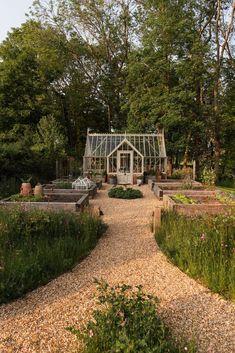 a garden with lots of different types of plants and flowers in the middle of it