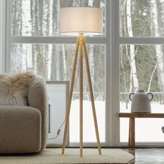 a living room scene with focus on the floor lamp