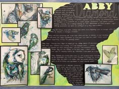 an art journal with drawings and words on the pages, including pictures of different types of birds