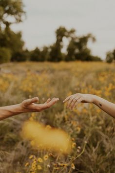 two people reaching out their hands to each other in a field full of yellow flowers