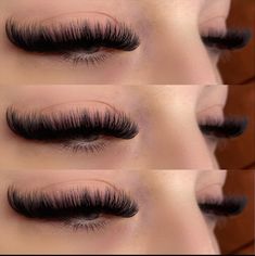 Cat Eye Russian Lashes, Mega Cat Eye Lash Extensions, Russian Eyelash Extensions, Lash Extentions, Russian Lashes