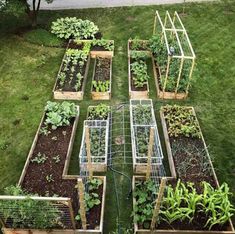 a garden with many different types of plants in it