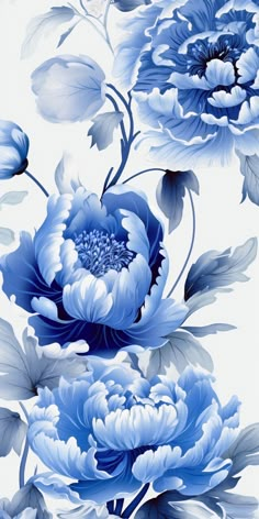 blue and white flowers on a white background