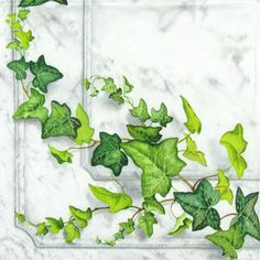 ivy growing on the side of a white marble counter top with green leaves and vines