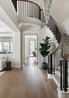 an elegant staircase with chandelier and potted plant in the center, along with hardwood flooring