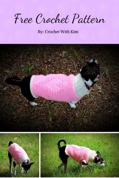 a black and white dog wearing a pink sweater in the grass with text overlay that says free crochet pattern