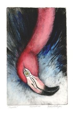 a drawing of a flamingo's head and eye