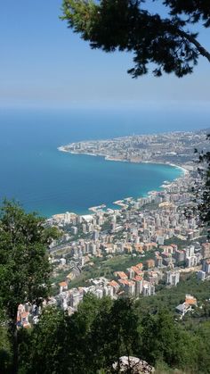 a view of a city and the ocean from atop a hill with lots of trees