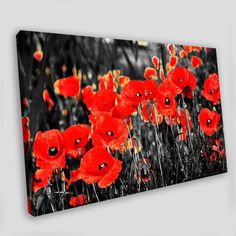 red poppies in black and white are featured on this canvas wall art print,