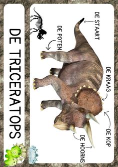 an image of a dinosaur playing card with words describing the different parts of its body