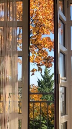 an open window looking out onto the outside with fall leaves on trees in the background