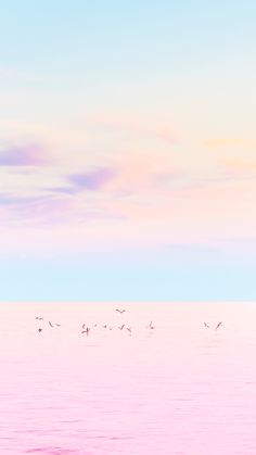 a flock of birds flying over the ocean on a cloudy day with pink and blue skies