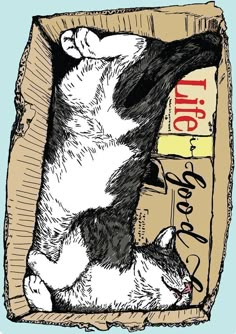 a black and white cat laying in a cardboard box with its front paws on it's back