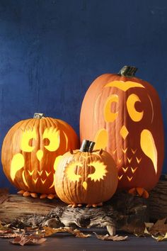 three carved pumpkins sitting on top of a tree stump with an owl face cut out