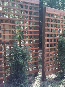 a wooden fence surrounded by trees and bushes