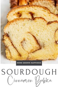 Enjoy baking sourdough cinnamon sugar babka using brioche dough filled with cinnamon-brown sugar. This recipe makes two delightful loaves. Cinnamon Babka Recipe, Sourdough Brioche, Cinnamon Babka, Brioche Dough, Babka Recipe, Chocolate Babka, Sweet Delights, Loaf Pan