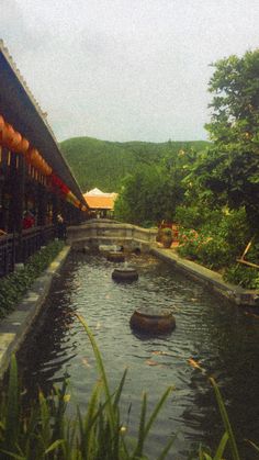 a river running through a lush green forest next to a tall building with red awnings