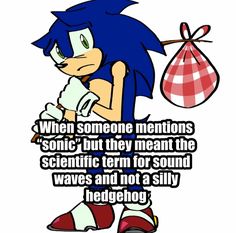 an image of sonic the hedgehog holding a bag with his hand and saying, when someone