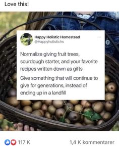 Collateral Beauty, Food Writing, Sourdough Starter, Faith In Humanity, What’s Going On, Life Advice, Useful Life Hacks, Fruit Trees