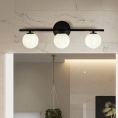 a bathroom mirror with three lights and a potted plant on the counter next to it