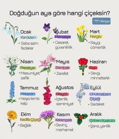 an image of flowers in different languages