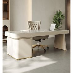 an office desk with a laptop on it and a potted plant in the corner