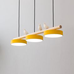 three birds sitting on top of a wooden beam suspended from a light fixture in a room