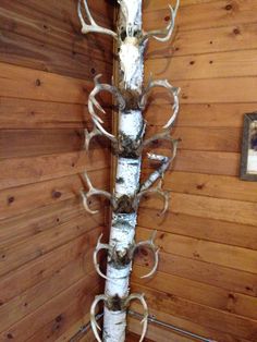 a deer head mounted to the side of a wooden wall