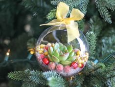 a glass ornament with succulents and berries in it on a christmas tree