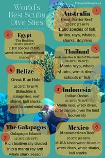 the world's best scuba dive sites infographical poster with information about diving