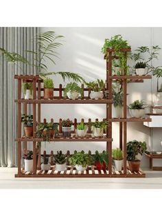 a shelf filled with lots of potted plants