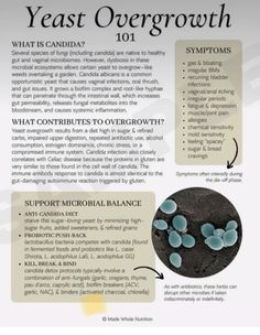 Candida Symptoms, Health Infographics, Yeast Overgrowth, Systemic Inflammation, Mushroom Benefits, Yeast Infections, Candida Albicans, Beauty Remedies