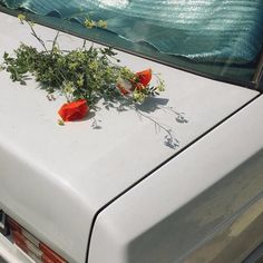 an old white car with flowers growing out of it's hood and the back window