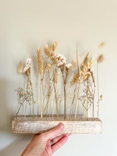 a hand is holding a wooden shelf with dried flowers on it and grass in the middle