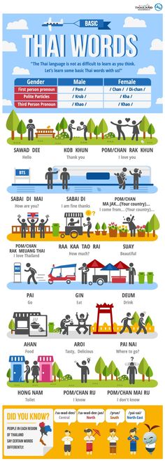 an info poster showing different types of boats