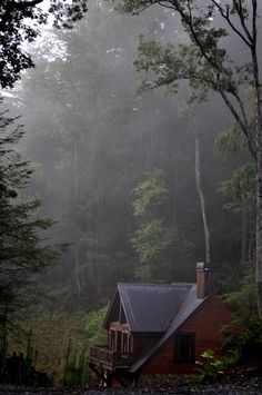 a cabin nestled in the woods on a foggy day