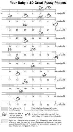 the baby's 10 great fussy phases chart is shown in black and white