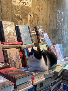 a black and white cat sitting on top of a pile of books next to each other