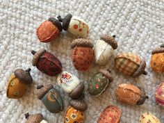 many different types of acorns are on the floor